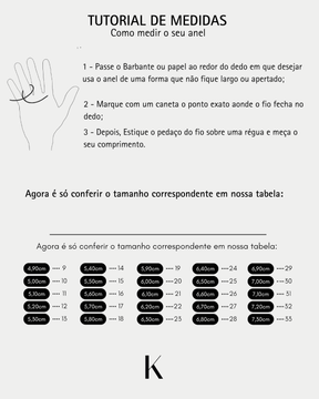 Anel Solitário Cravejado Caixa Alta Prata 925 - Karina Pratas