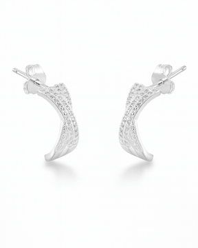 Brinco Torcido Cravejado Prata 925 - Karina Pratas