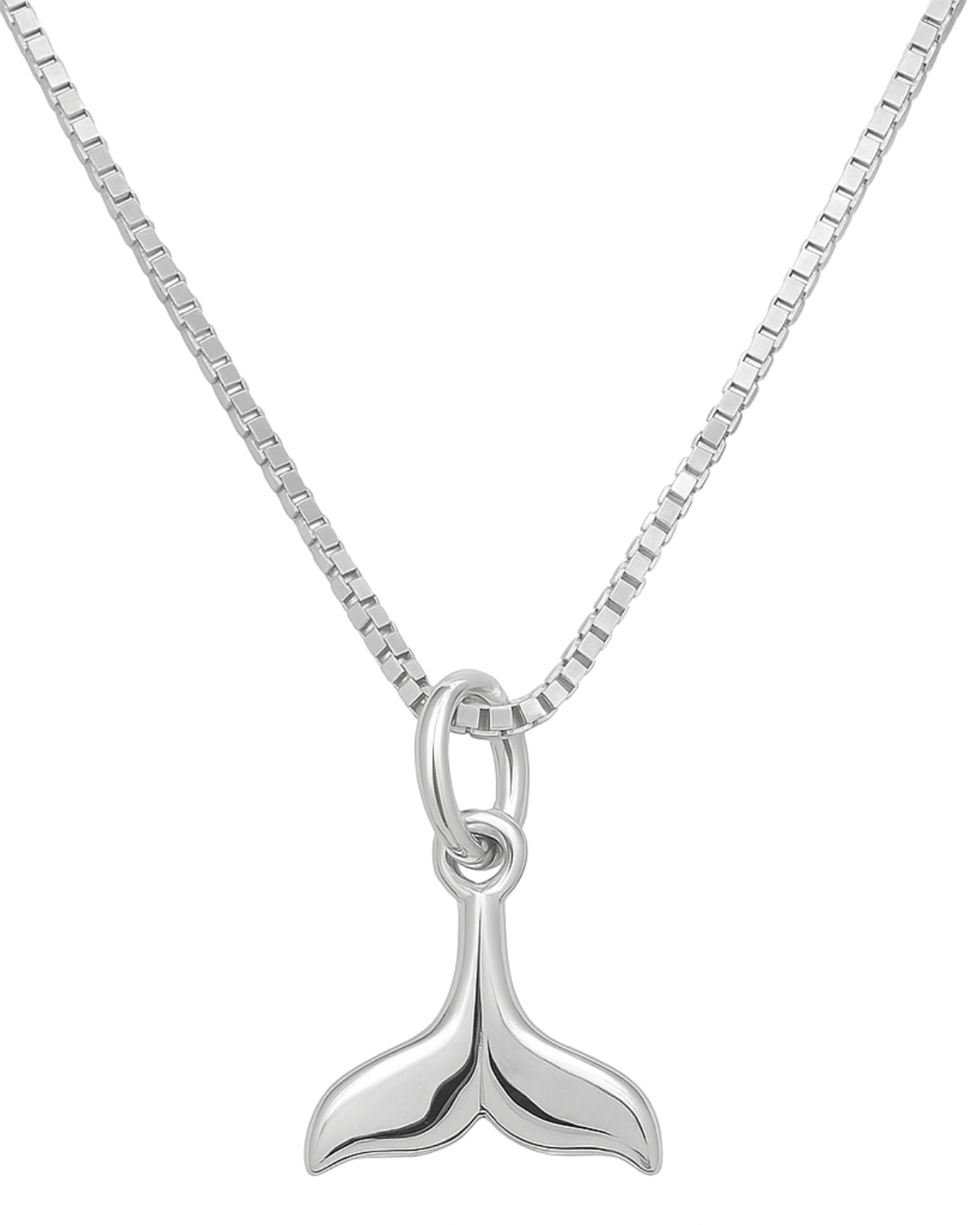 Colar Rabo de Baleia Prata 925 - Karina Pratas